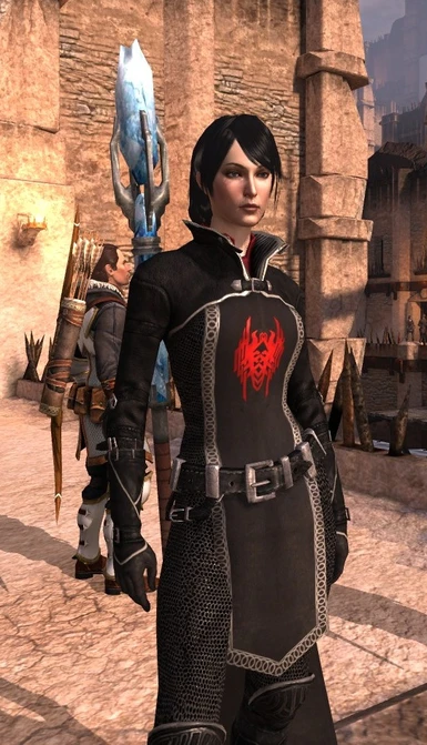 A Female Mage Champion Armour Replacement at Dragon Age 2 Nexus - mods ...