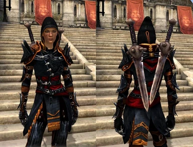 Black and Golden reskinned Rogue Champion Armour at Dragon Age 2 Nexus ...