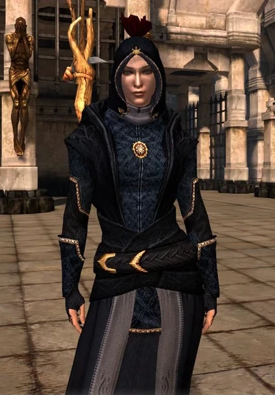Armour of the Four Elements at Dragon Age 2 Nexus - mods and community