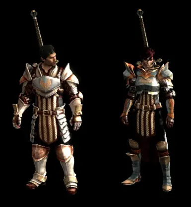 Grey Warden Armour Pack at Dragon Age 2 Nexus - mods and community