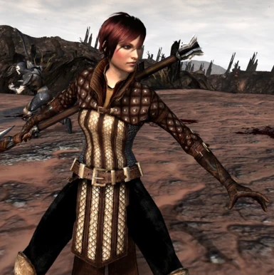 Rak_Blight Buster Mage at Dragon Age 2 Nexus - mods and community