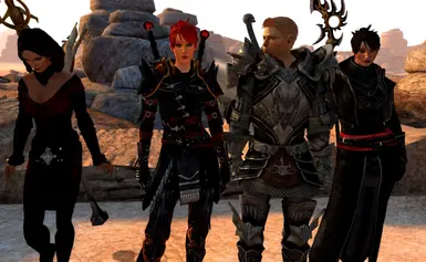 New armour, weapons, alliesmods really give this game a new lease of  life. [Secret Companion spoiler] : r/dragonage