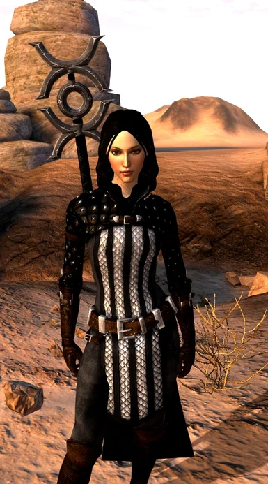 Paint it Black Recolors at Dragon Age 2 Nexus - mods and community