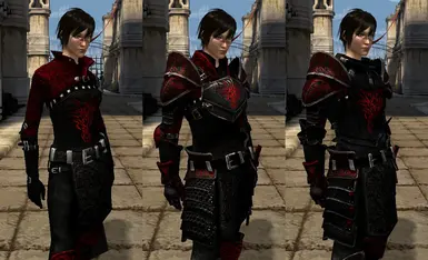 Armours details