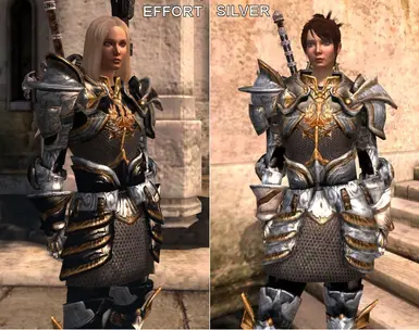 Warden Effort Armor for DA2 at Dragon Age 2 Nexus - mods and community