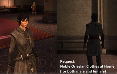 Noble Orlesian Clothes at Home