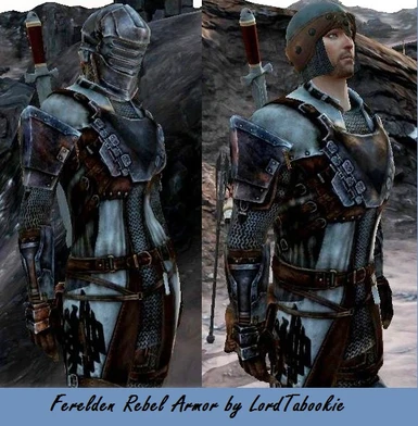 Ferelden Rebel Armor