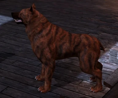 Red Brindle Recolour