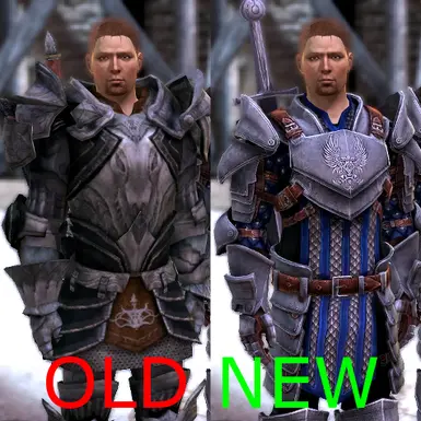 Grey Warden Armour Pack at Dragon Age 2 Nexus - mods and community