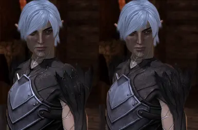 HR Fenris Armor