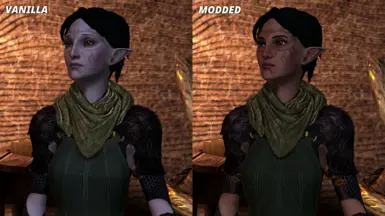 how to install dragon age 2 mods