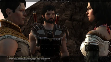 Eurogamer on X: This fan-made Dragon Age: Origins mod fixes 790 bugs and  restores hidden dialogue, story choices, and items    / X