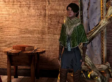 dragon age 2 companions armor