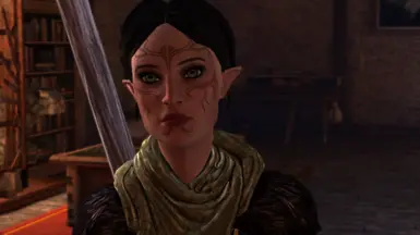 Lore Keeper Merrill at Dragon Age 2 Nexus - mods and community