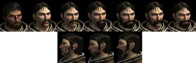 Origins Beard Texture