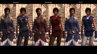 previously unused factional tints, on robes and light armor