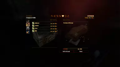 The upgrades in the merchant's store.