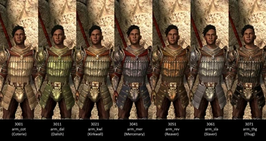 factional armor tints