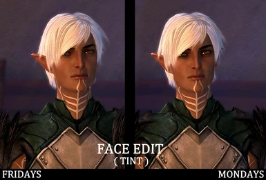 Face Edit Skin Tint Version