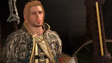 Anders - Siamese Hair