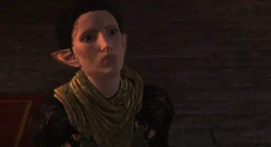 Merrill - Inquisition Hair