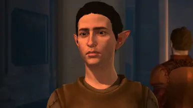 Elf Servent