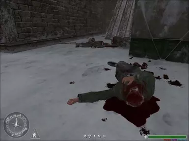 call of duty 1.1