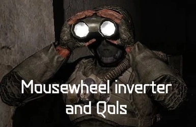 Mousewheel Inverter And Qols