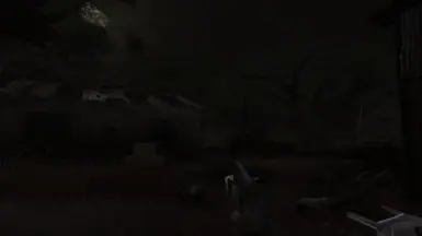 ReShade Only