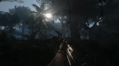 Jungle Fever - A Far Cry 2 ENB and ReShade with Nightvision at Far Cry ...