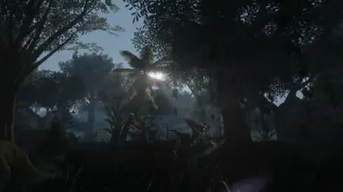 Lens Flares