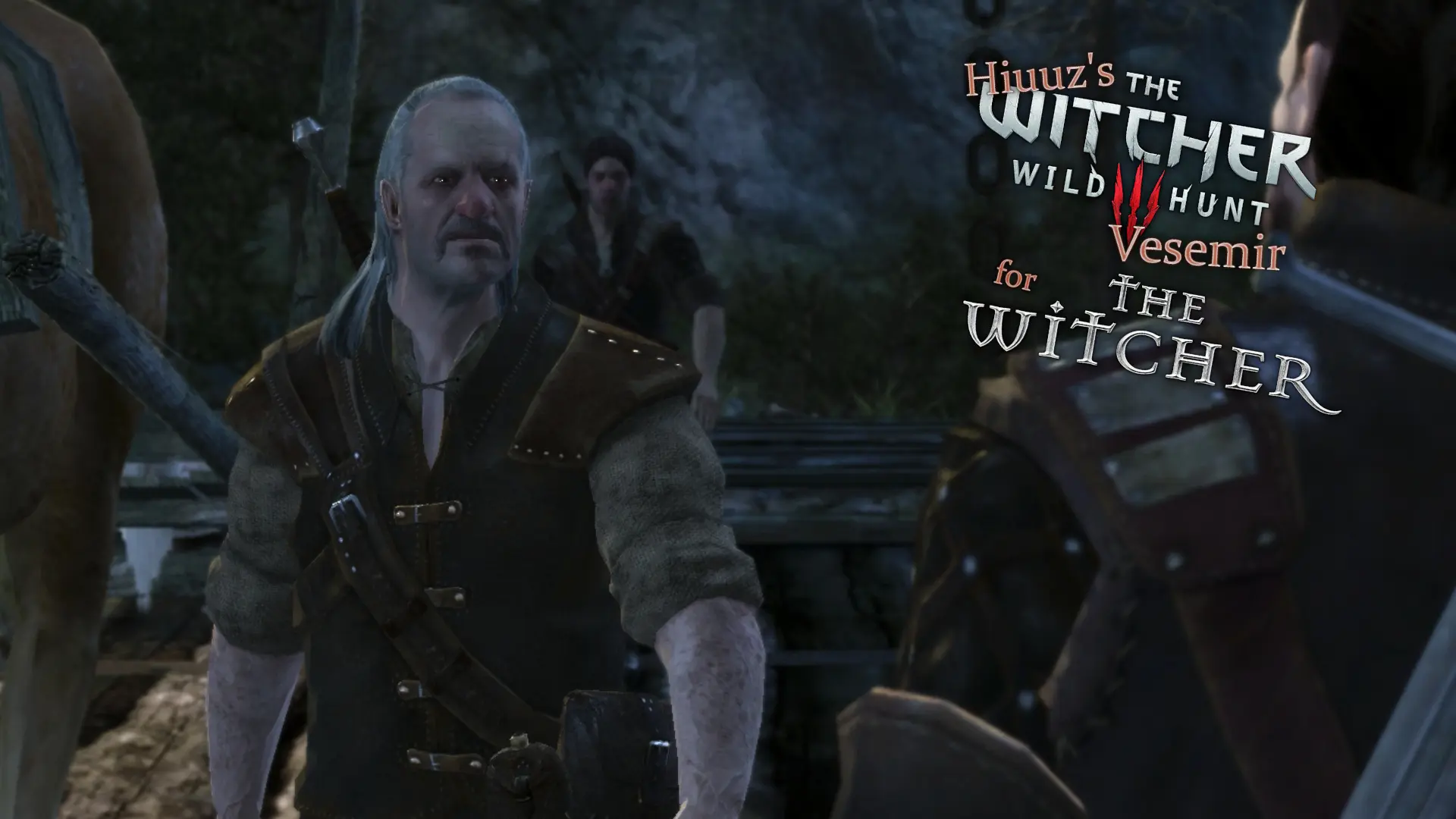 the witcher vesemir netflix