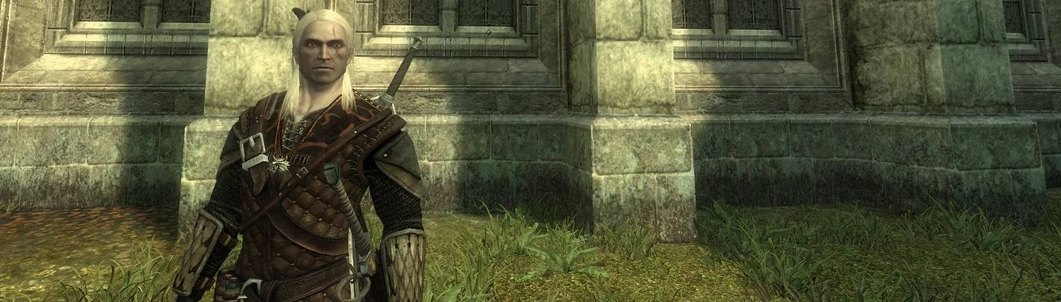 The best The Witcher 1 mods for your PC! 