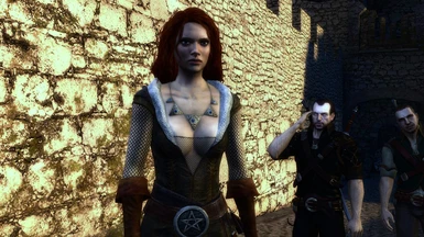 The Ultimate Witcher 2 Modding Guide  Reshade, Combat Overhaul, HD  Textures, Models, Animation Etc 