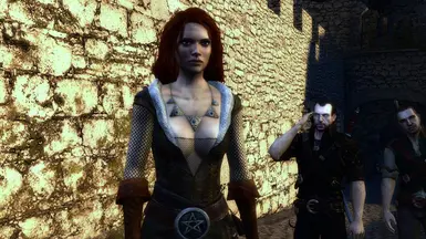 The Witcher 2 Nexus - mods and community