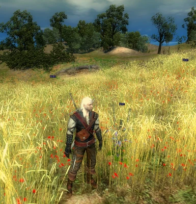 Geralt with Han plants