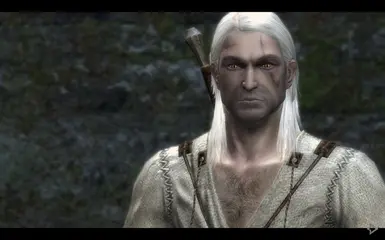 Geralt's default face with RofTWW textures