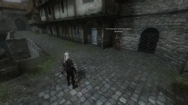 THE WITCHER 1 - Ultra Modded Graphics / HD textures and models (+ mod list)  