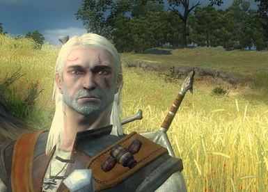 Geralt with beard