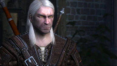 the witcher rise of the white wolf mod
