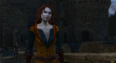 Witcher 1 ⚔ Remastered with Mods, 03 - Saving Triss