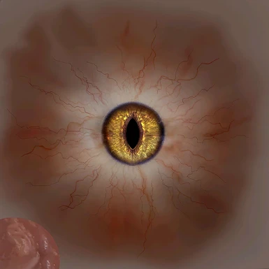 Eye Texture from Witcher 2 AI Upscaled Textures