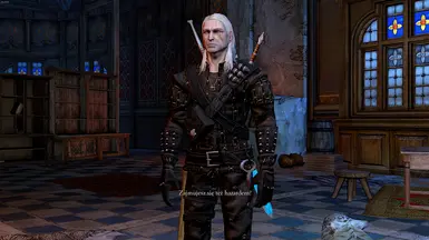 The Witcher: Rise of the White Wolf Enhanced Edition (100% w/Mods) 