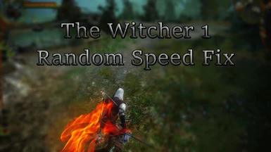 Geralt Random Speed Fix