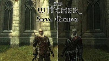 Save Games Witcher 1