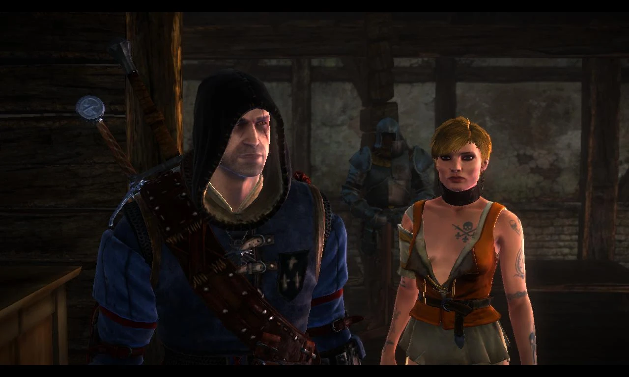the witcher 2 ves