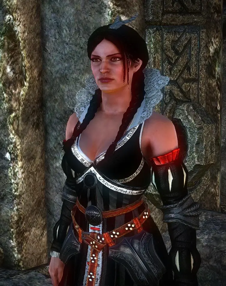 top witcher 2 mods