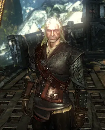 nexus mod witcher 2