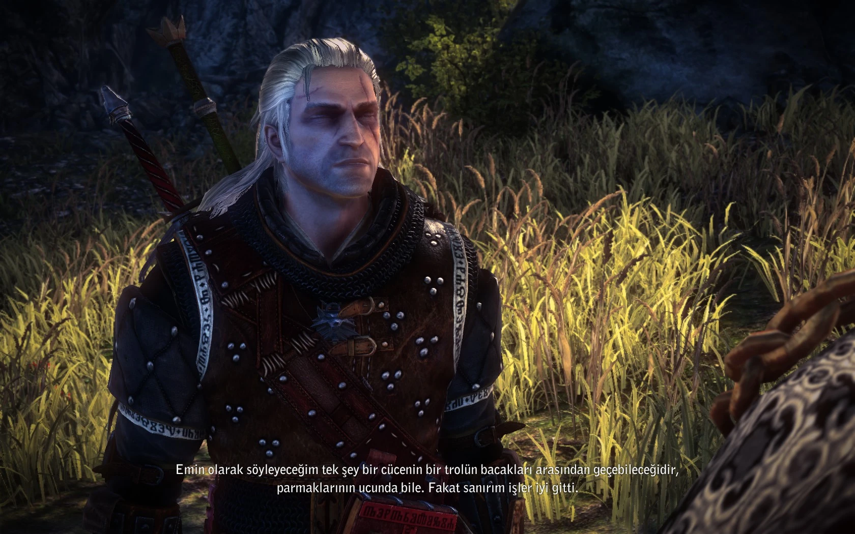 the witcher 2 import save
