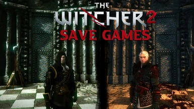 Save Games Witcher 2